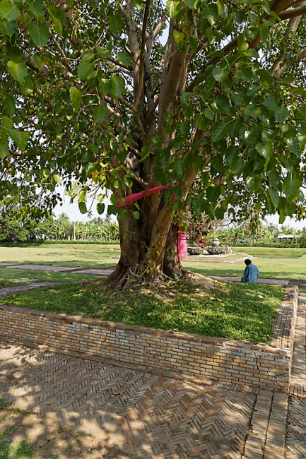 Prasat Sikhoraphum-MAR15-005